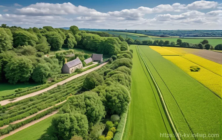 서식지 회복을 위한 지역 자원 활용 방법 - **Prompt: "Reconnecting with Ancient Craftsmanship in Rural France"**
    A serene and sunny scene i...