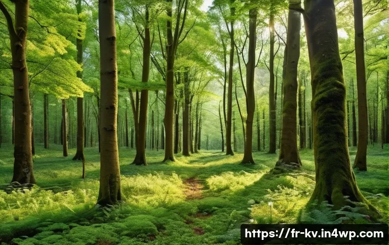 서식지 회복 프로젝트의 지역적 특징 관련 이미지 1